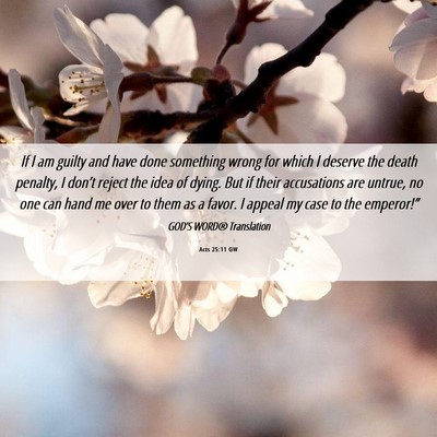 Picture 06 - Acts 25:11 GW - If I am guilty and have done something wrong for - Bible Verse Picture
