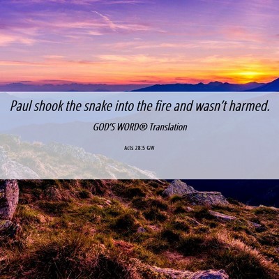 Picture 06 - Acts 28:5 GW - Paul shook the snake into the fire and wasn’t - Bible Verse Picture