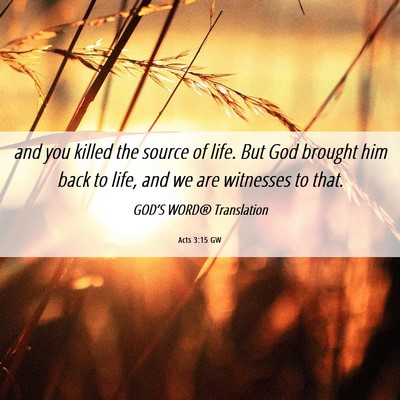 Picture 06 - Acts 3:15 GW - and you killed the source of life. But God - Bible Verse Picture