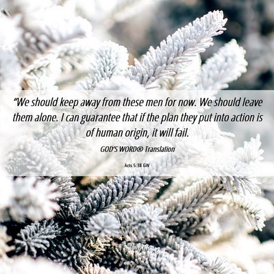 Picture 06 - Acts 5:38 GW - “We should keep away from these men for now. We - Bible Verse Picture