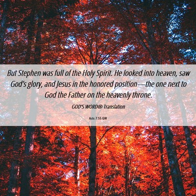 Picture 06 - Acts 7:55 GW - But Stephen was full of the Holy Spirit. He - Bible Verse Picture