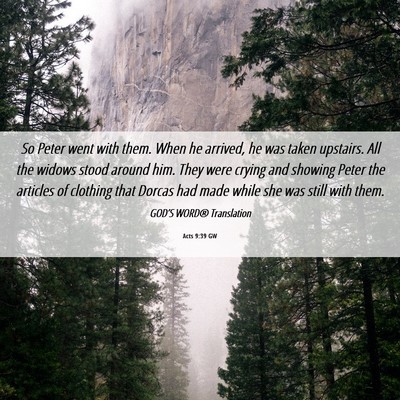 Picture 06 - Acts 9:39 GW - So Peter went with them. When he arrived, he was - Bible Verse Picture