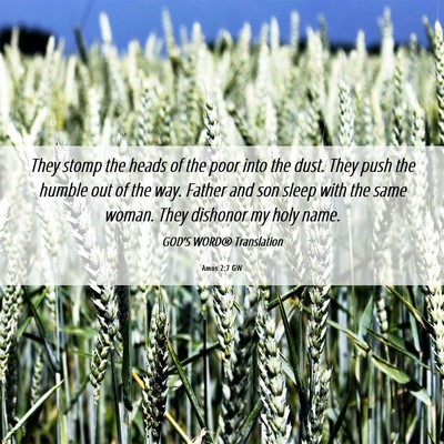Picture 06 - Amos 2:7 GW - They stomp the heads of the poor into the dust. - Bible Verse Picture