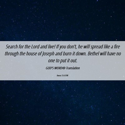 Picture 06 - Amos 5:6 GW - Search for the Lord and live! If you don’t, he - Bible Verse Picture