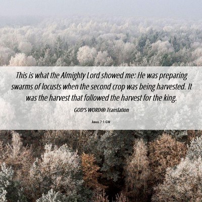 Picture 06 - Amos 7:1 GW - This is what the Almighty Lord showed me: He was - Bible Verse Picture