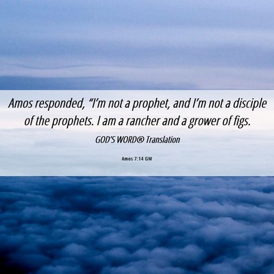 Picture 06 - Amos 7:14 GW - Amos responded, “I’m not a prophet, and I’m - Bible Verse Picture