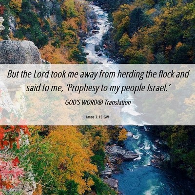 Picture 06 - Amos 7:15 GW - But the Lord took me away from herding the flock - Bible Verse Picture