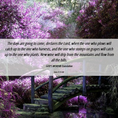 Picture 06 - Amos 9:13 GW - The days are going to come, declares the Lord, - Bible Verse Picture