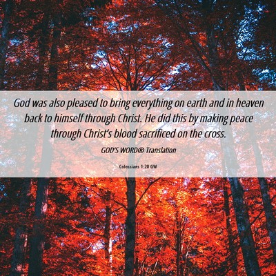 Picture 06 - Colossians 1:20 GW - God was also pleased to bring everything on earth - Bible Verse Picture