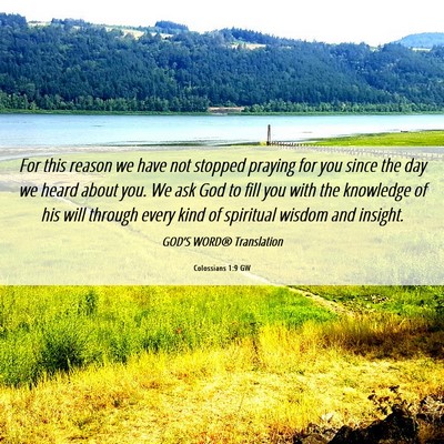 Picture 06 - Colossians 1:9 GW - For this reason we have not stopped praying for - Bible Verse Picture