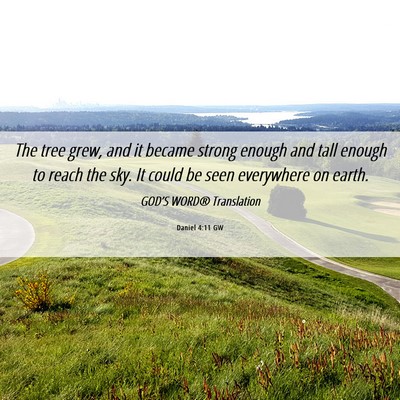 Picture 06 - Daniel 4:11 GW - The tree grew, and it became strong enough and - Bible Verse Picture