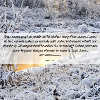 Picture 06 - Daniel 5:21 GW - He was chased away from people, and his mind was - Bible Verse Picture