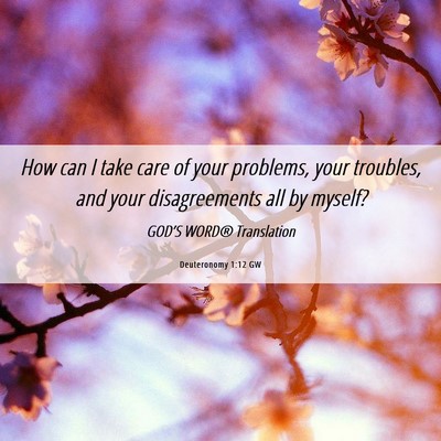 Picture 06 - Deuteronomy 1:12 GW - How can I take care of your problems, your - Bible Verse Picture