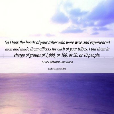 Picture 06 - Deuteronomy 1:15 GW - So I took the heads of your tribes who were wise - Bible Verse Picture