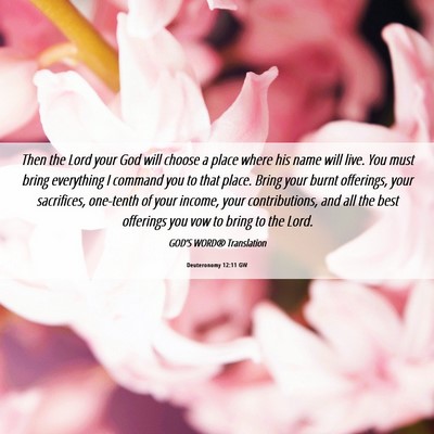 Picture 06 - Deuteronomy 12:11 GW - Then the Lord your God will choose a place where - Bible Verse Picture