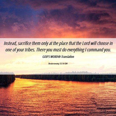 Picture 06 - Deuteronomy 12:14 GW - Instead, sacrifice them only at the place that - Bible Verse Picture