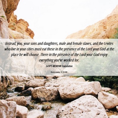 Picture 06 - Deuteronomy 12:18 GW - Instead, you, your sons and daughters, male and - Bible Verse Picture