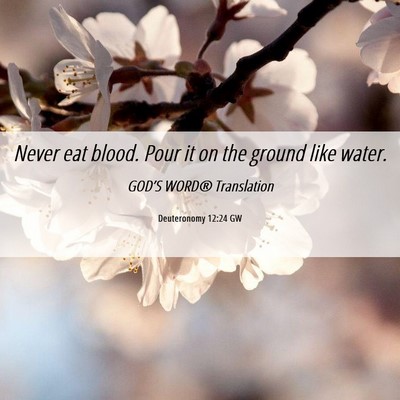 Picture 06 - Deuteronomy 12:24 GW - Never eat blood. Pour it on the ground like - Bible Verse Picture