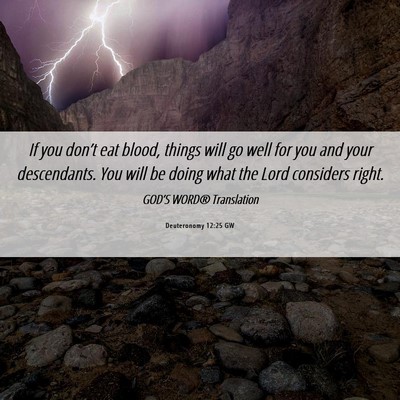 Picture 06 - Deuteronomy 12:25 GW - If you don’t eat blood, things will go well for - Bible Verse Picture