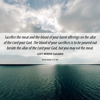 Picture 06 - Deuteronomy 12:27 GW - Sacrifice the meat and the blood of your burnt - Bible Verse Picture