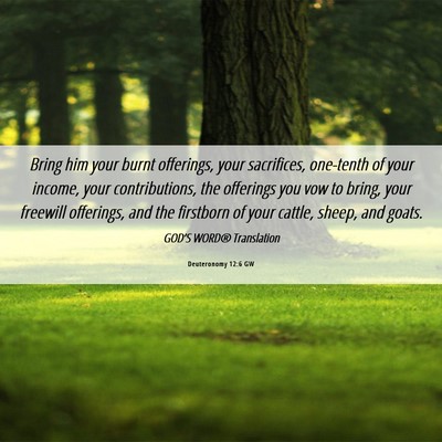 Picture 06 - Deuteronomy 12:6 GW - Bring him your burnt offerings, your sacrifices, - Bible Verse Picture