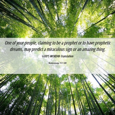 Picture 06 - Deuteronomy 13:1 GW - One of your people, claiming to be a prophet or - Bible Verse Picture