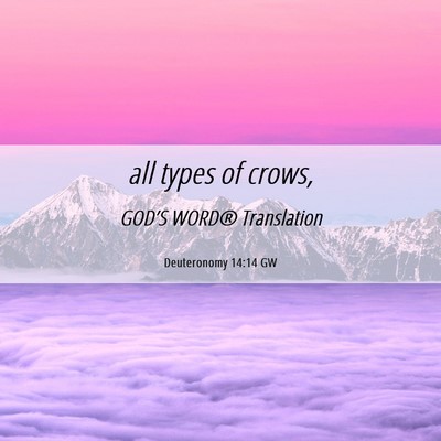 Picture 06 - Deuteronomy 14:14 GW - all types of - Bible Verse Picture