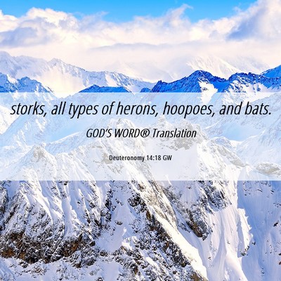 Picture 06 - Deuteronomy 14:18 GW - storks, all types of herons, hoopoes, and - Bible Verse Picture