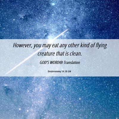 Picture 06 - Deuteronomy 14:20 GW - However, you may eat any other kind of flying - Bible Verse Picture