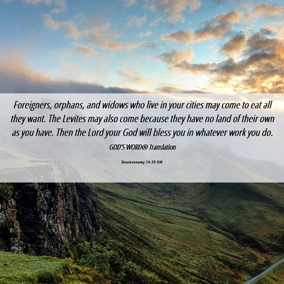 Picture 06 - Deuteronomy 14:29 GW - Foreigners, orphans, and widows who live in your - Bible Verse Picture