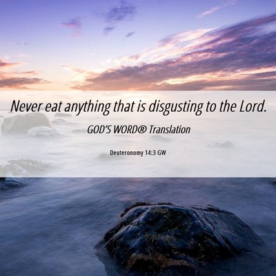 Picture 06 - Deuteronomy 14:3 GW - Never eat anything that is disgusting to the - Bible Verse Picture