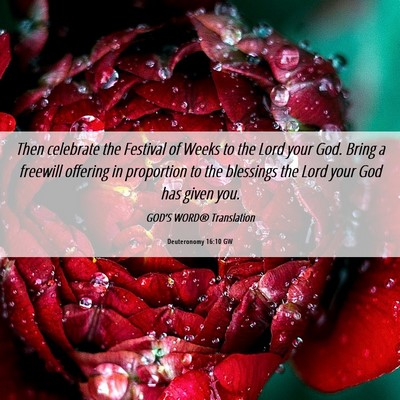 Picture 06 - Deuteronomy 16:10 GW - Then celebrate the Festival of Weeks to the Lord - Bible Verse Picture
