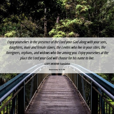 Picture 06 - Deuteronomy 16:11 GW - Enjoy yourselves in the presence of the Lord your - Bible Verse Picture