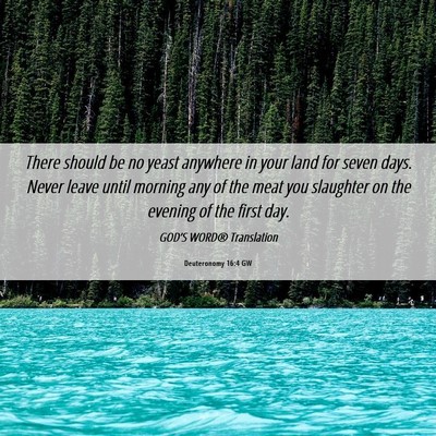 Picture 06 - Deuteronomy 16:4 GW - There should be no yeast anywhere in your land - Bible Verse Picture