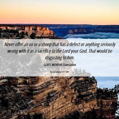 Picture 06 - Deuteronomy 17:1 GW - Never offer an ox or a sheep that has a defect or - Bible Verse Picture