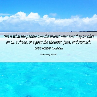 Picture 06 - Deuteronomy 18:3 GW - This is what the people owe the priests whenever - Bible Verse Picture