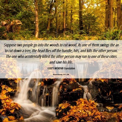 Picture 06 - Deuteronomy 19:5 GW - Suppose two people go into the woods to cut wood. - Bible Verse Picture
