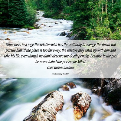 Picture 06 - Deuteronomy 19:6 GW - Otherwise, in a rage the relative who has the - Bible Verse Picture