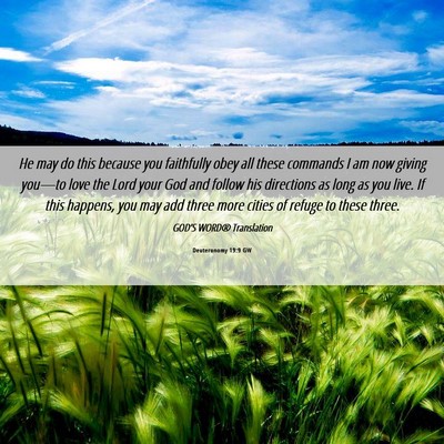 Picture 06 - Deuteronomy 19:9 GW - He may do this because you faithfully obey all - Bible Verse Picture