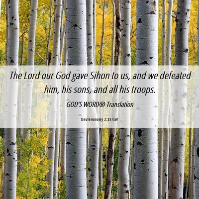 Picture 06 - Deuteronomy 2:33 GW - The Lord our God gave Sihon to us, and we - Bible Verse Picture
