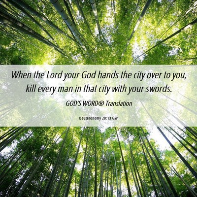 Picture 06 - Deuteronomy 20:13 GW - When the Lord your God hands the city over to - Bible Verse Picture