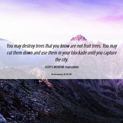 Picture 06 - Deuteronomy 20:20 GW - You may destroy trees that you know are not fruit - Bible Verse Picture