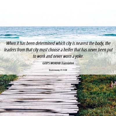 Picture 06 - Deuteronomy 21:3 GW - When it has been determined which city is nearest - Bible Verse Picture