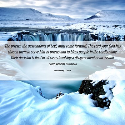 Picture 06 - Deuteronomy 21:5 GW - The priests, the descendants of Levi, must come - Bible Verse Picture