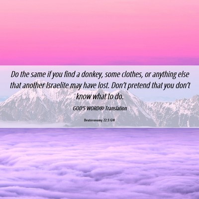 Picture 06 - Deuteronomy 22:3 GW - Do the same if you find a donkey, some clothes, - Bible Verse Picture