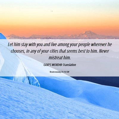 Picture 06 - Deuteronomy 23:16 GW - Let him stay with you and live among your people - Bible Verse Picture