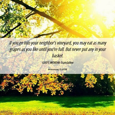 Picture 06 - Deuteronomy 23:24 GW - If you go into your neighbor’s vineyard, you - Bible Verse Picture