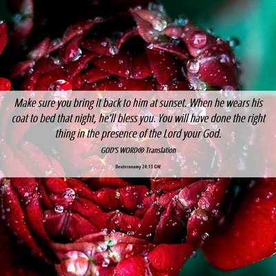 Picture 06 - Deuteronomy 24:13 GW - Make sure you bring it back to him at sunset. - Bible Verse Picture