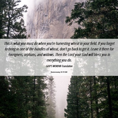 Picture 06 - Deuteronomy 24:19 GW - This is what you must do when you’re harvesting - Bible Verse Picture