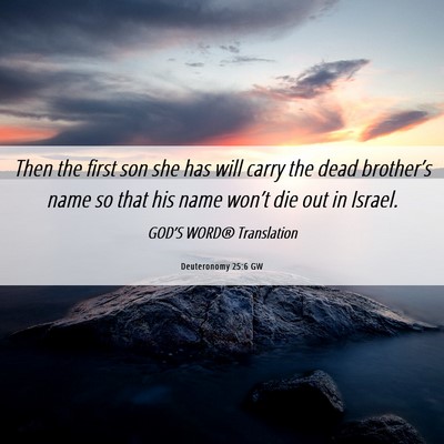 Picture 06 - Deuteronomy 25:6 GW - Then the first son she has will carry the dead - Bible Verse Picture